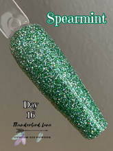 Load image into Gallery viewer, Spearmint