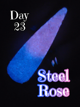 Load image into Gallery viewer, Steel Rose Thermal