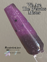 Load image into Gallery viewer, We Are The Weirdos Mister