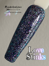 Load image into Gallery viewer, Love Stinks