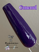 Load image into Gallery viewer, Concord