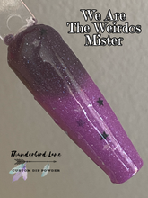 Load image into Gallery viewer, We Are The Weirdos Mister