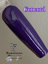 Load image into Gallery viewer, Concord