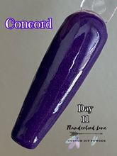 Load image into Gallery viewer, Concord