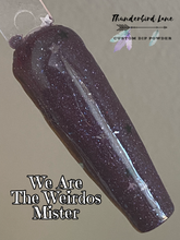 Load image into Gallery viewer, We Are The Weirdos Mister