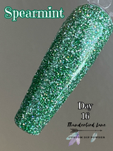 Load image into Gallery viewer, Spearmint