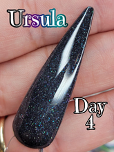 Load image into Gallery viewer, Ursula