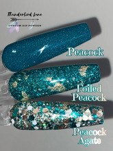 Load image into Gallery viewer, Peacock