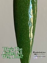 Load image into Gallery viewer, Why's The Carpet All Wet, Todd?