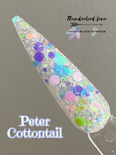 Load image into Gallery viewer, Peter Cottontail