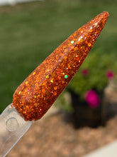 Load image into Gallery viewer, Pumpkin Patch