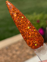 Load image into Gallery viewer, Pumpkin Patch