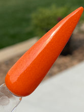 Load image into Gallery viewer, Pumpkin Pie