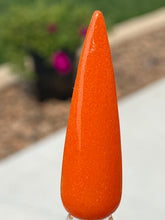 Load image into Gallery viewer, Pumpkin Pie