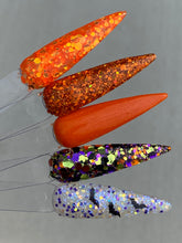 Load image into Gallery viewer, Pumpkin Patch