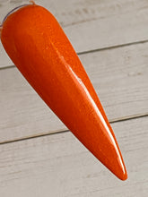 Load image into Gallery viewer, Pumpkin Pie