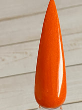 Load image into Gallery viewer, Pumpkin Pie