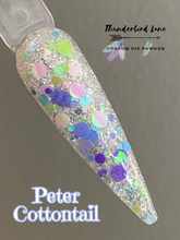 Load image into Gallery viewer, Peter Cottontail