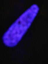 Load image into Gallery viewer, Goth Wisp