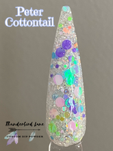 Load image into Gallery viewer, Peter Cottontail