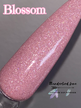 Load image into Gallery viewer, Blossom