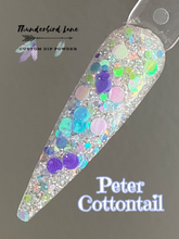 Load image into Gallery viewer, Peter Cottontail