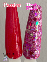 Load image into Gallery viewer, That's Fetch