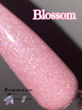 Load image into Gallery viewer, Blossom
