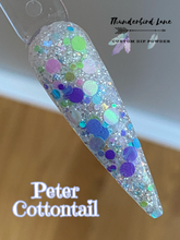 Load image into Gallery viewer, Peter Cottontail