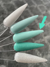 Load image into Gallery viewer, Mint Chip