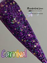 Load image into Gallery viewer, Carnival