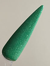 Load image into Gallery viewer, Evergreen