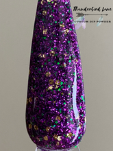 Load image into Gallery viewer, Carnival