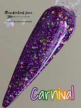 Load image into Gallery viewer, Carnival