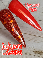 Load image into Gallery viewer, Autumn Leaves