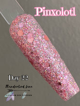 Load image into Gallery viewer, Pinxolotl
