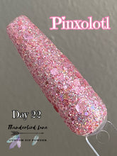 Load image into Gallery viewer, Pinxolotl
