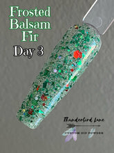 Load image into Gallery viewer, Frosted Balsam Fir
