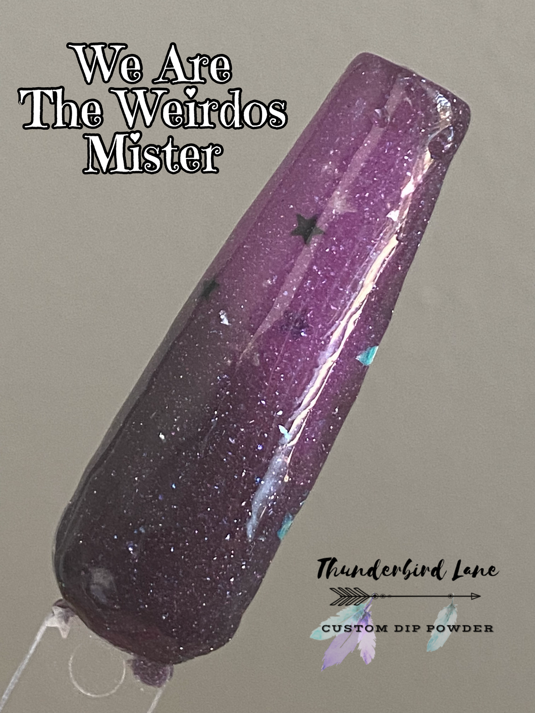 We Are The Weirdos Mister