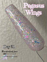 Load image into Gallery viewer, Pegasus Wings
