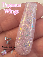 Load image into Gallery viewer, Pegasus Wings
