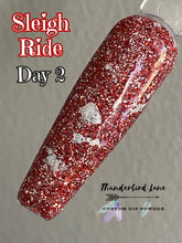 Load image into Gallery viewer, Sleigh Ride
