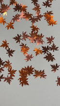 Load and play video in Gallery viewer, Autumn Bliss Maple Leaves
